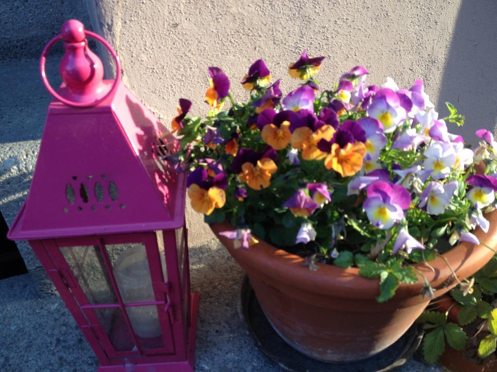 B&B La Vie En Rose Basel Exterior photo